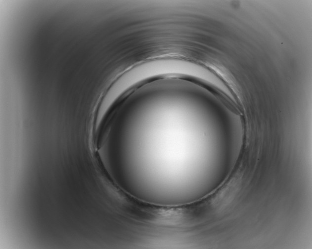 X0000089890850200707051227