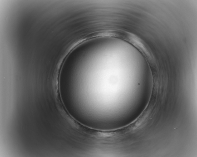 X0000089890852200707051227