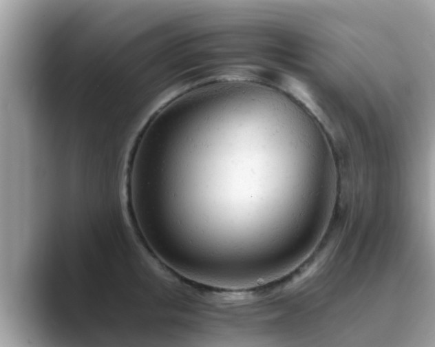 X0000089890853200707051227