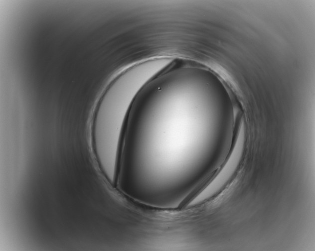 X0000089890854200707051227