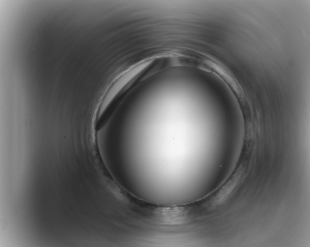 X0000089890858200707051227