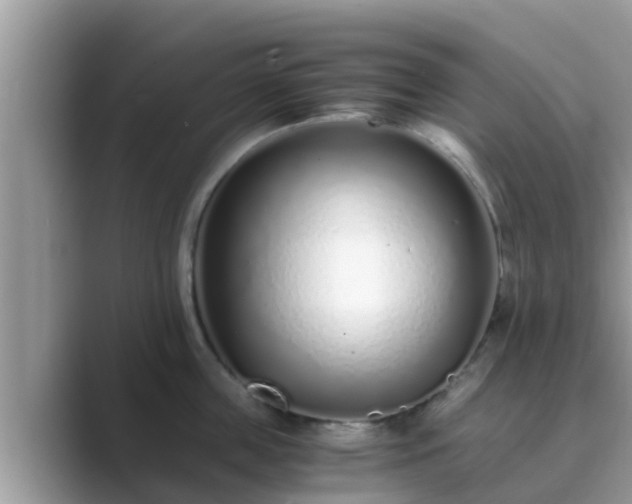 X0000089890859200707051227