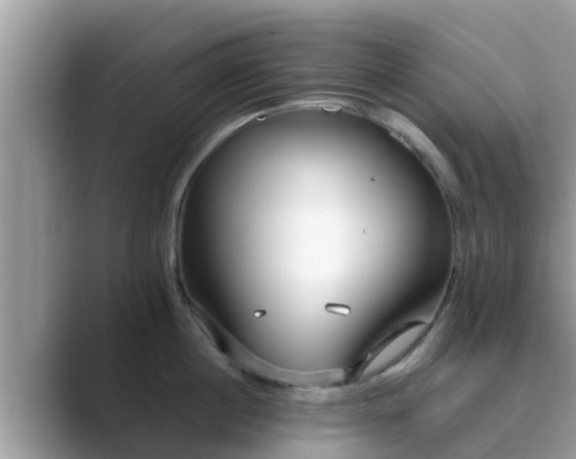 X0000089890860200707051227