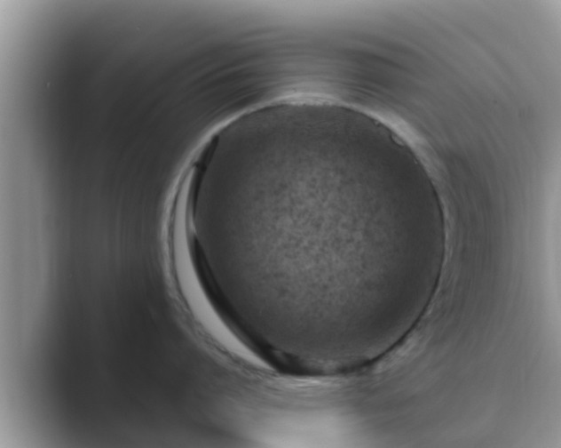 X0000089890864200707051227