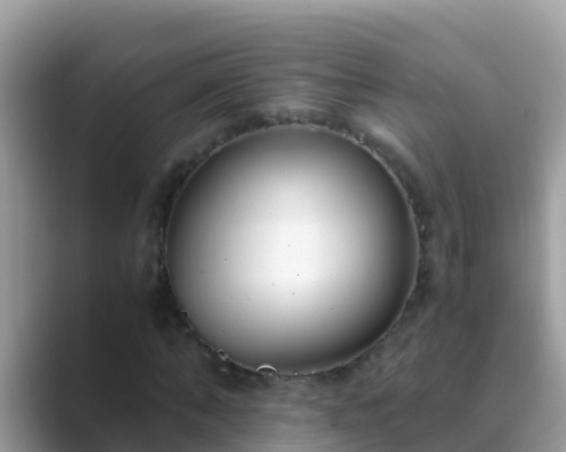 X0000089890870200707051226