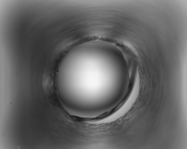 X0000089890872200707051226