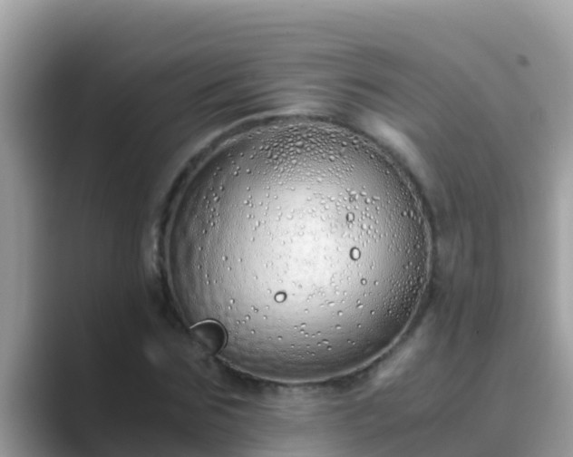 X0000089890875200707051226