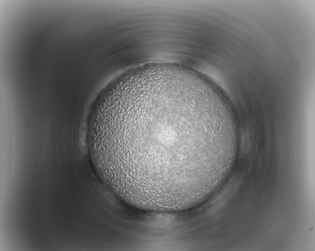 X0000089890878200707051226