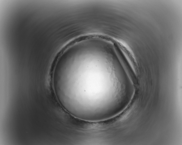 X0000089890879200707051226