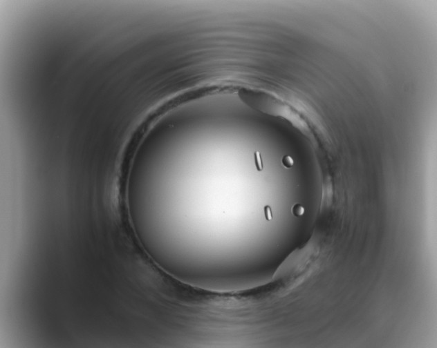 X0000089890880200707051226