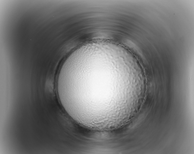 X0000089890882200707051226