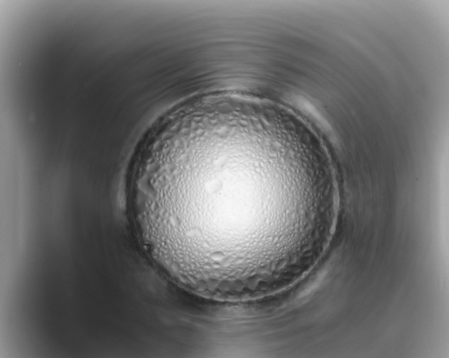 X0000089890883200707051226