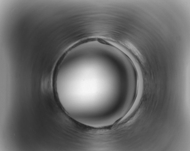 X0000089890884200707051226