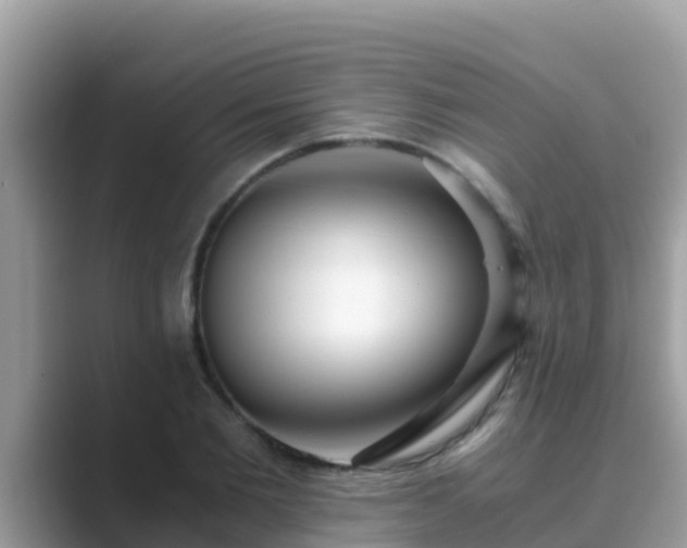 X0000089890885200707051226