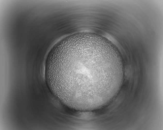 X0000089890886200707051226