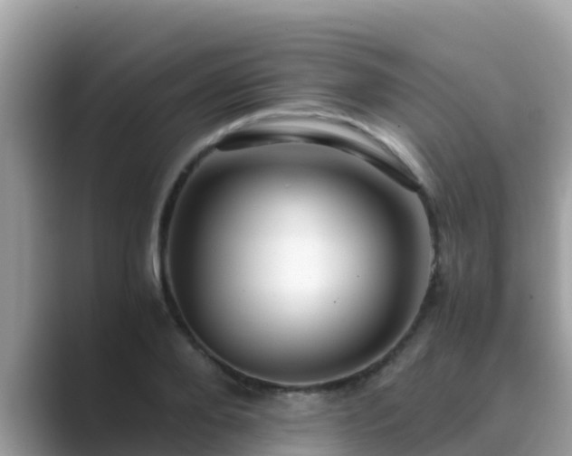 X0000089890888200707051226