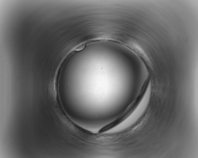 X0000089890892200707051226