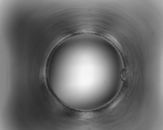 X0000089890893200707051226