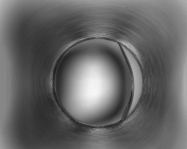 X0000089890894200707051226