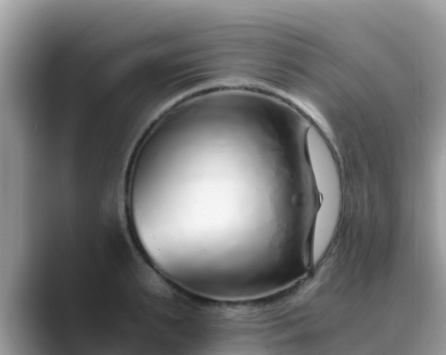 X0000089890895200707051226