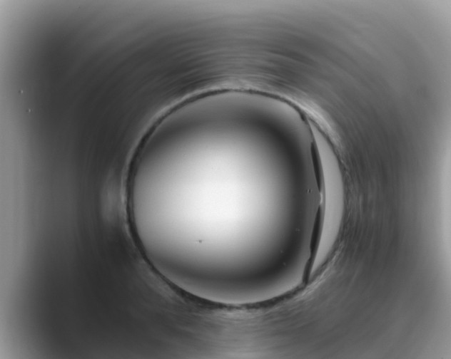 X0000089890896200707051226