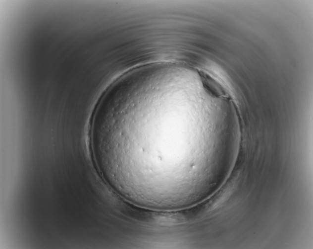 X0000089890899200707051226