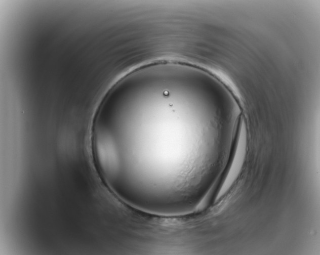 X0000089890903200707051226