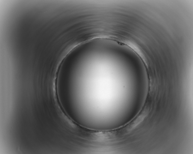 X0000089890906200707051226