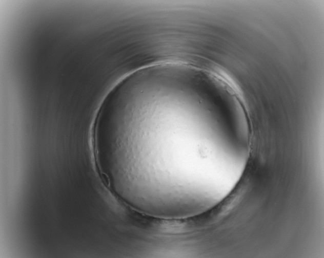 X0000089890907200707051226