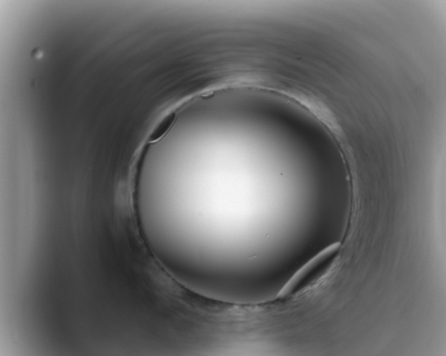 X0000089890912200707051226