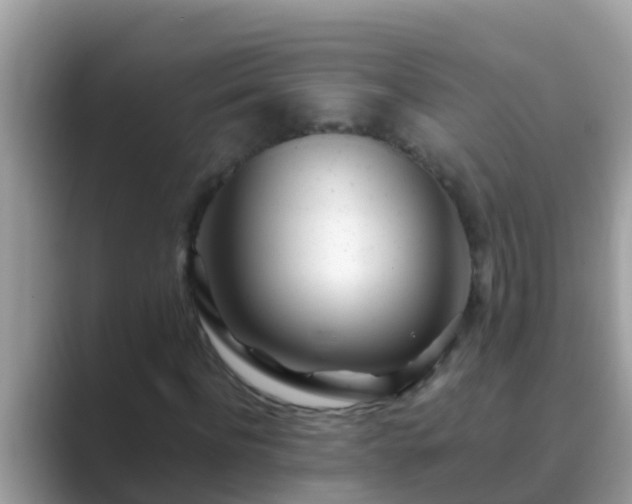 X0000089890916200707051225