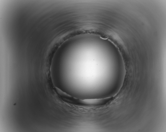 X0000089890920200707051225