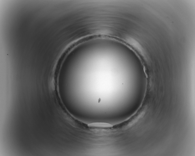 X0000089890924200707051225