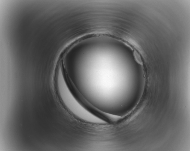 X0000089890928200707051225