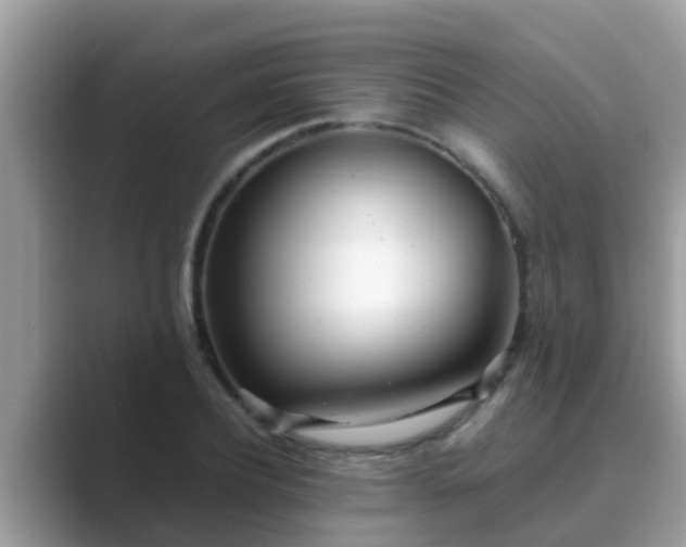 X0000089890932200707051226