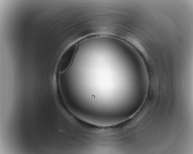 X0000089890936200707051226