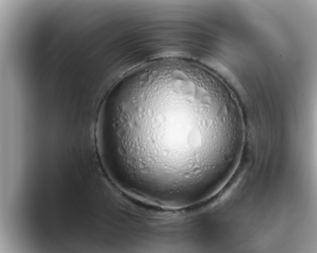 X0000089890937200707051226