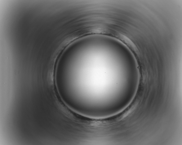 X0000089890938200707051226