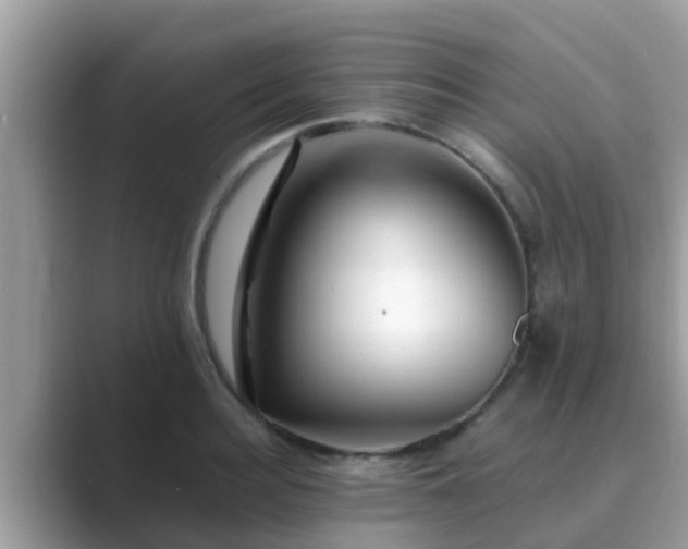 X0000089890940200707051226