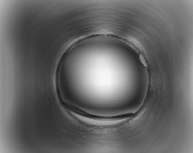 X0000089890942200707051226