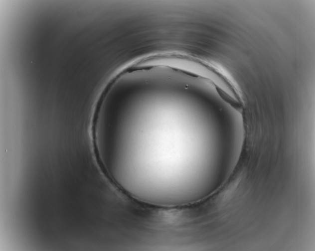 X0000089890943200707051226