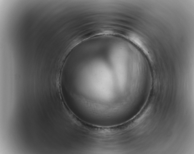 X0000089890945200707051226