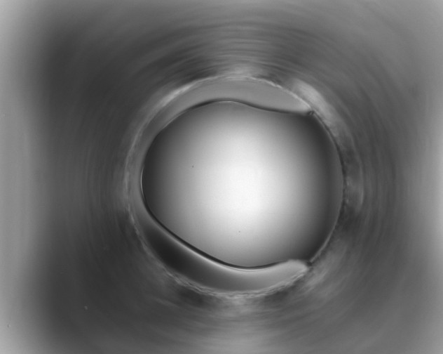 X0000089890948200707051226