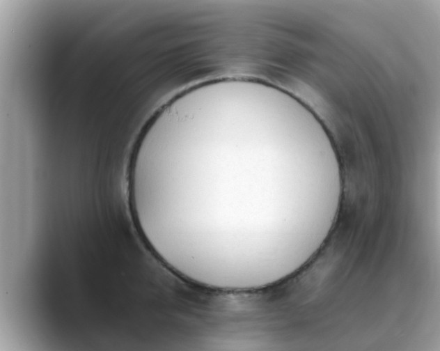 X0000089890950200707051226