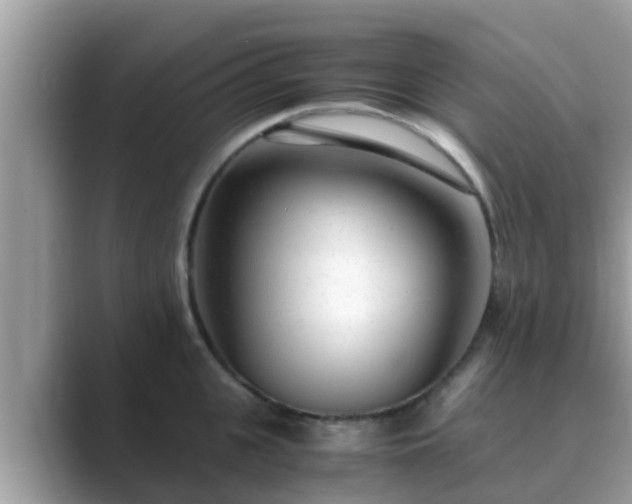 X0000089890951200707051226