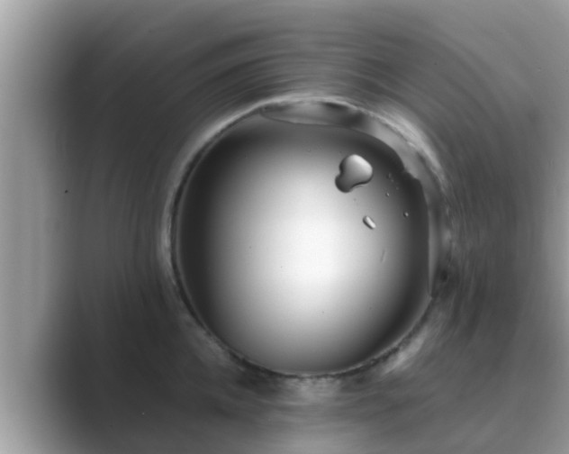 X0000089890952200707051226