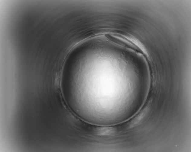 X0000089890953200707051226