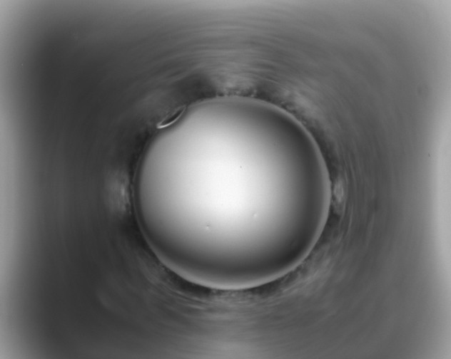 X0000089890963200707051225