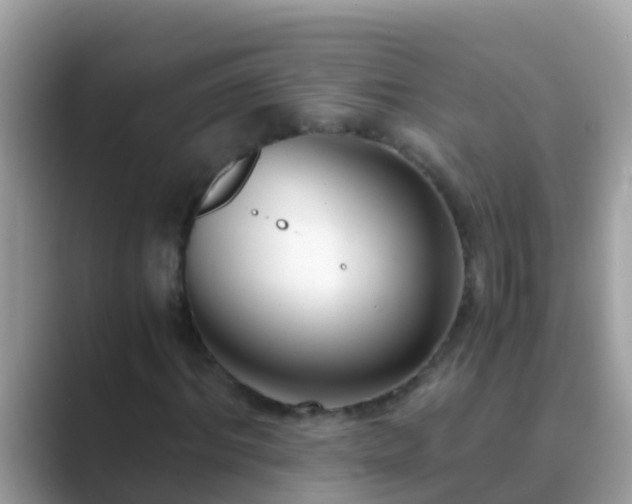 X0000089890964200707051225