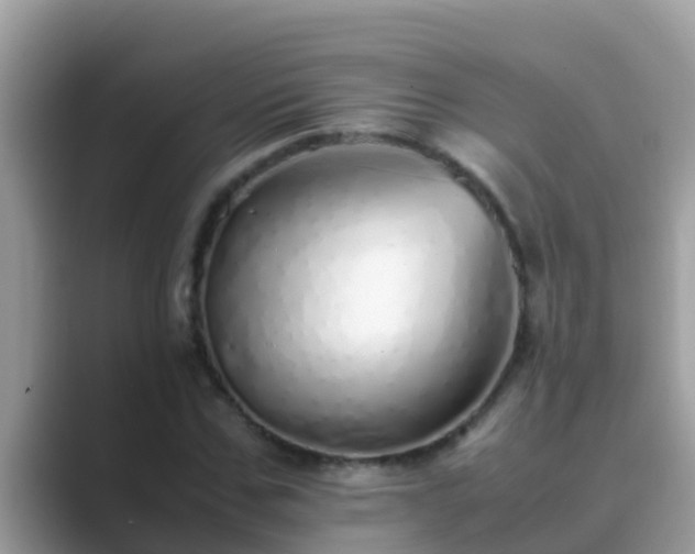 X0000089890971200707051225